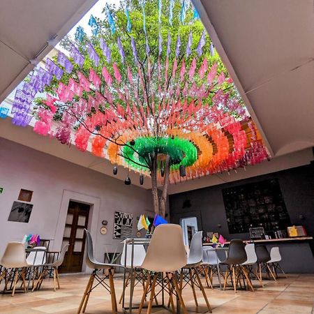 Bkl Hotel Oaxaca Екстериор снимка