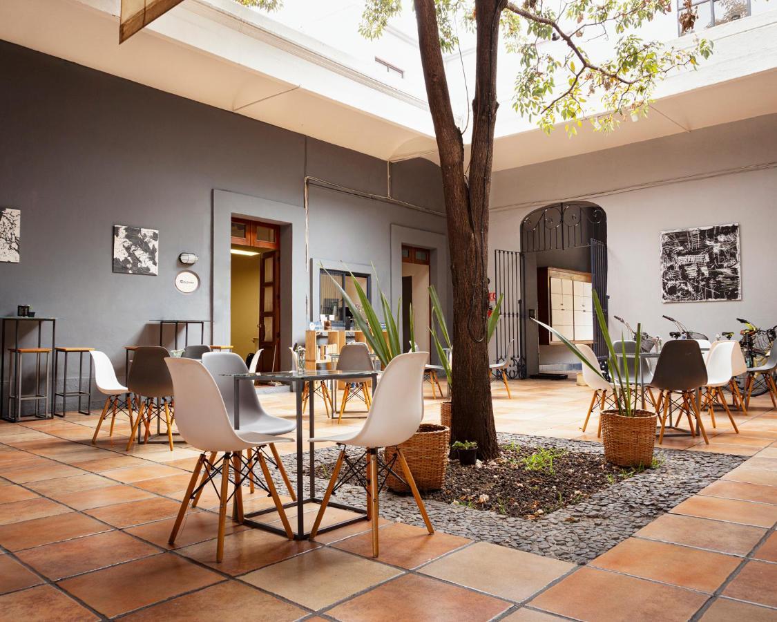 Bkl Hotel Oaxaca Екстериор снимка