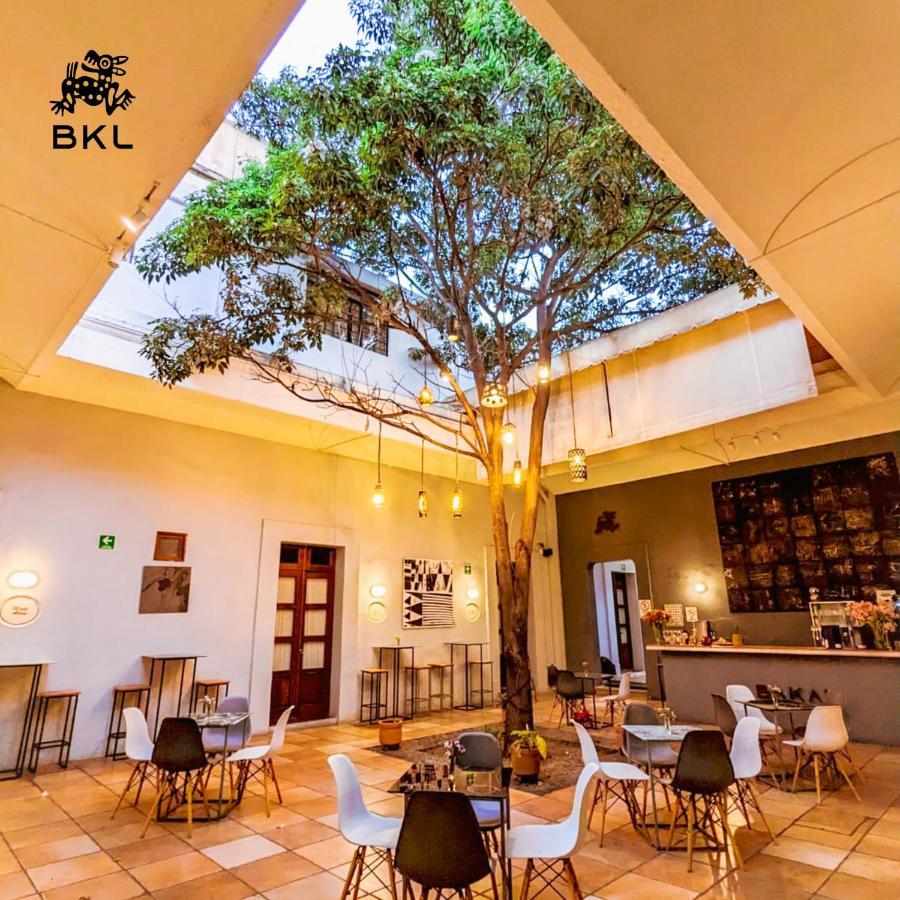 Bkl Hotel Oaxaca Екстериор снимка