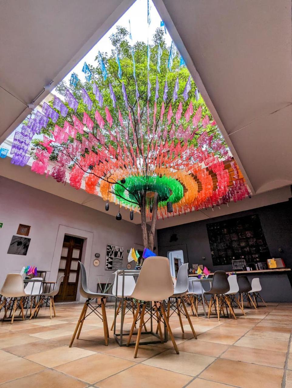 Bkl Hotel Oaxaca Екстериор снимка